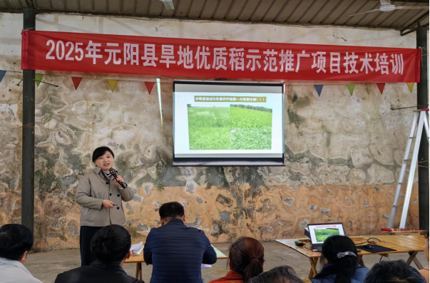 150吨国家救灾备荒种子紧急调用助力全省旱地优质稻示范推广